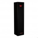 WINCHESTER RED ROCK Cassaforte per 6 armi + tesoretto