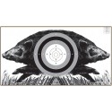BERSAGLIO CINGHIALE CORRENTE con testa a sinistra e a destra formato 50x70 MULTICOLORE cod.815/5
