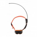 NUM'AXES Canicom GPS Collare da addestramento GPS dotato di moduli GPS GALILEO