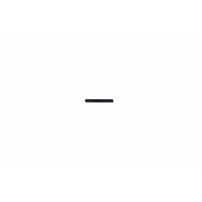 BENELLI SL80 e PASSION perno fissaggio leva fermo cartuccia