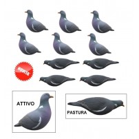 Set da 10 stampi colombaccio a corpo intero in HD 6 attivi e 4 in pastura