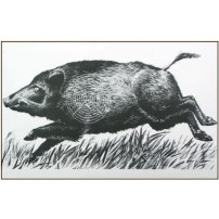 BERSAGLIO CINGHIALE CORRENTE con testa a sinistra formato 50x95 SINGOLO FOGLIO cod.815/2