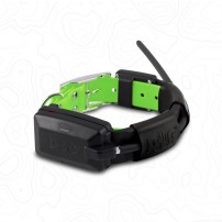 DOG TRACE X30 GPS COLLARE AGGIUNTIVO GREEN Collare Verde cod.6149