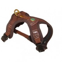 NIGGELOH IMBRAGO PER SEGUGIO Follow LIGHT, MARRONE, TAGLIA XS