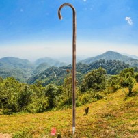 Bastone Curvo in Castagno Verniciato 98cm Puntale in Acciaio Cromato 88250